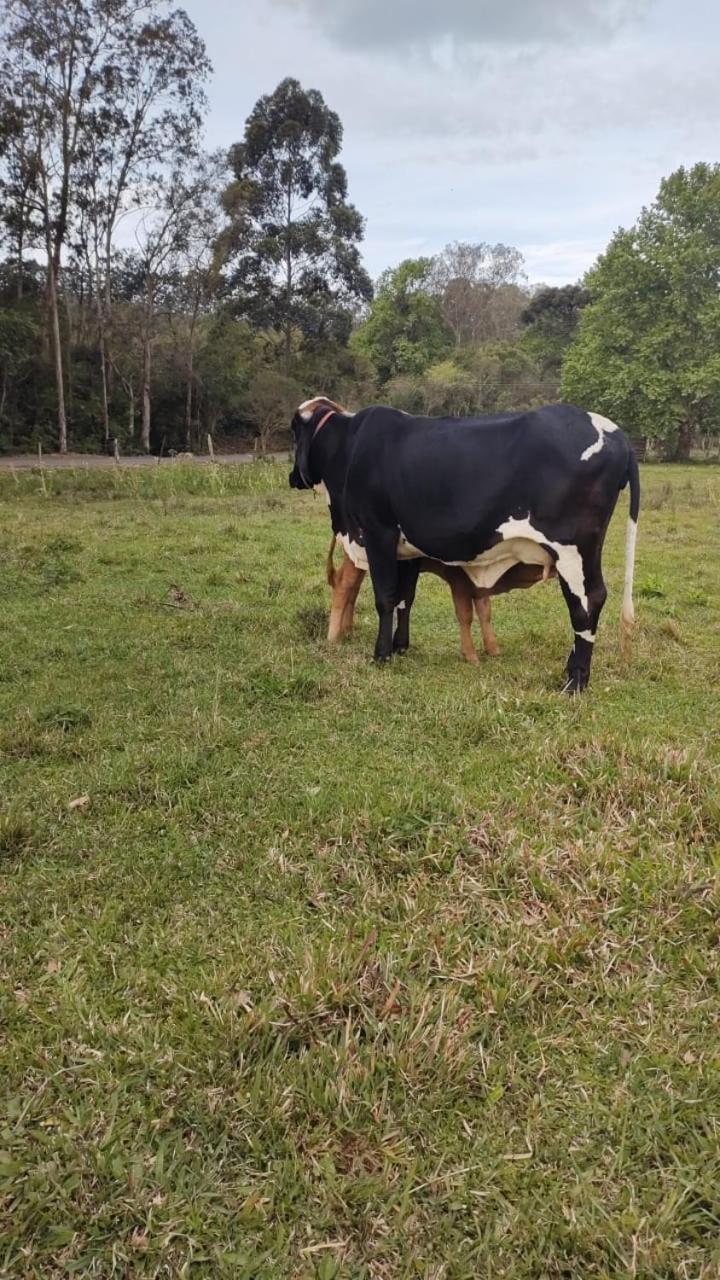 Pousada Rancho Do Lago Osorio Bagian luar foto